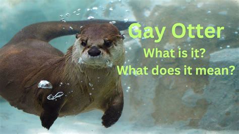 whats an otter in gay world|Classifying the Unknown Species of the Gay Animal .